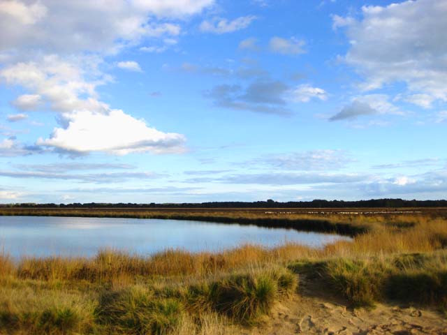 Villa Dwingelderveld