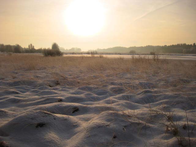 Villa Dwingelderveld