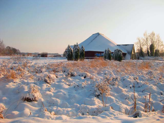 Villa Dwingelderveld