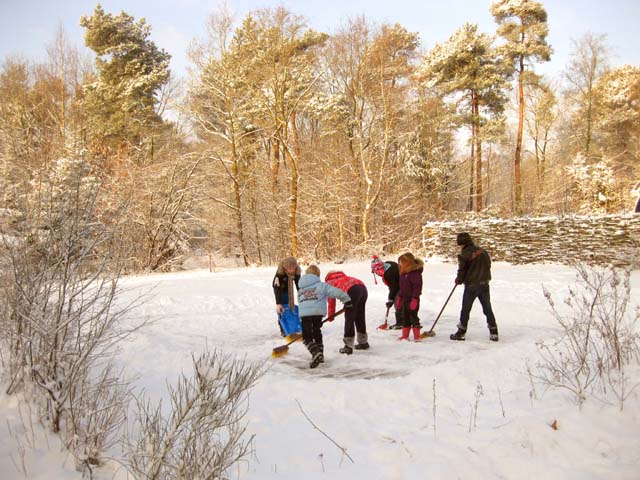 Villa Dwingelderveld